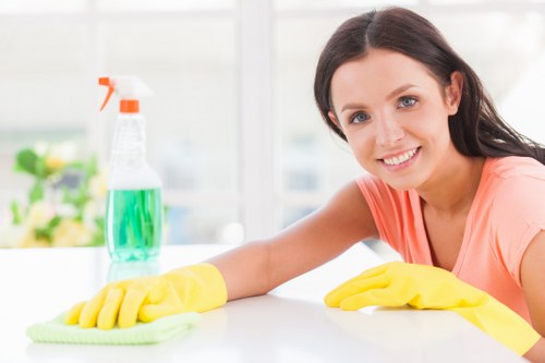 Upholstery cleaning service for sofas in Roehampton homes