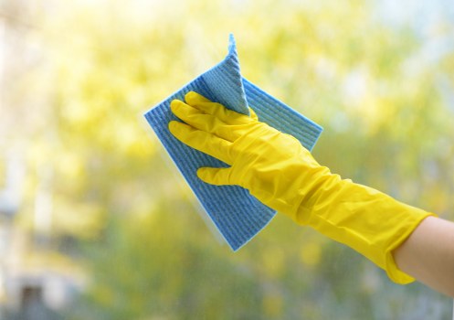 Professional cleaners introducing the Roehampton cleaning service