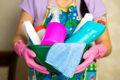 Screen reader support and structured web content for cleaners Roehampton