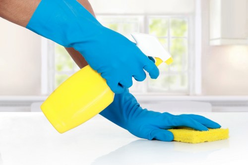 Cleaning moss and grime from a paved patio in Roehampton