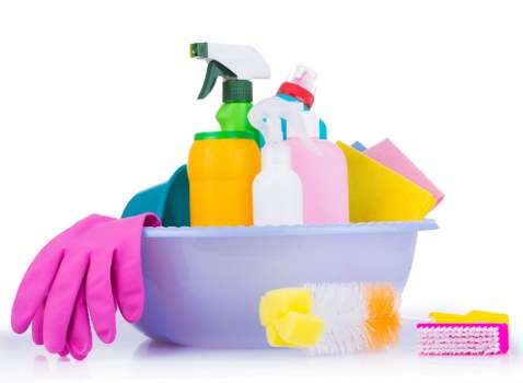 Insured Roehampton cleaning service with staff training and safety measures