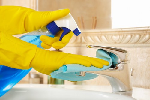 Local oven cleaning for family homes and rentals in Roehampton