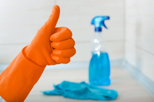Deep mattress cleaning equipment used in a Roehampton flat