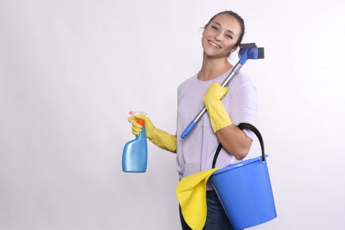 Regular cleaning service for Roehampton homes and flats