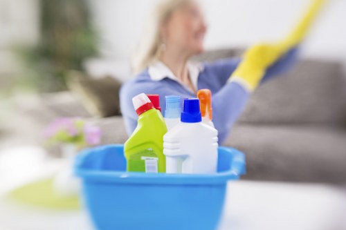 Specialist pet stain and odour treatment for Roehampton carpets