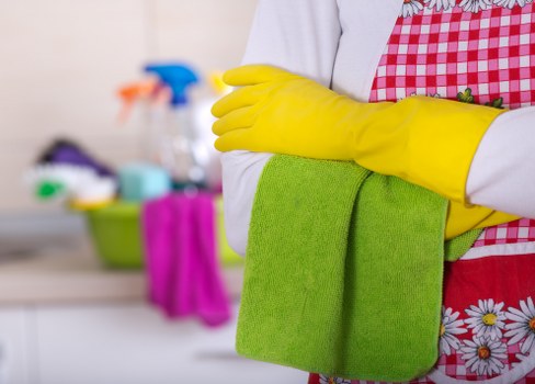 Domestic cleaner tasks and room cleaning in Roehampton