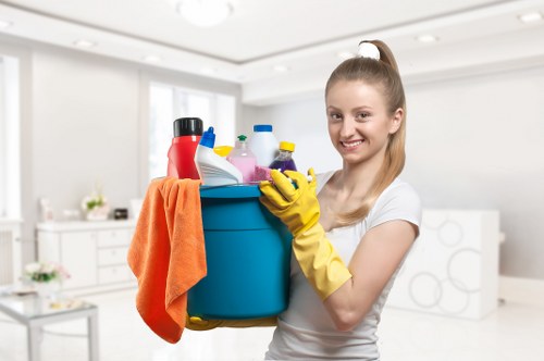 Targeted pet stain odour removal for local Roehampton customers