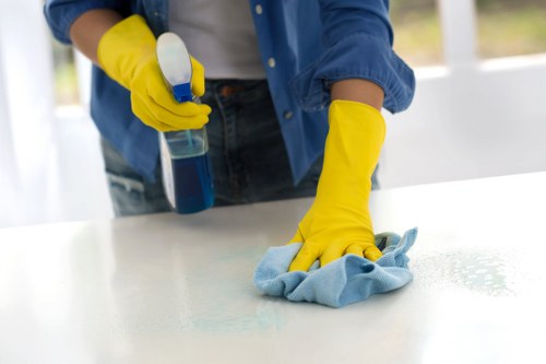 Professional cleaner working in a Roehampton office kitchen and workspace