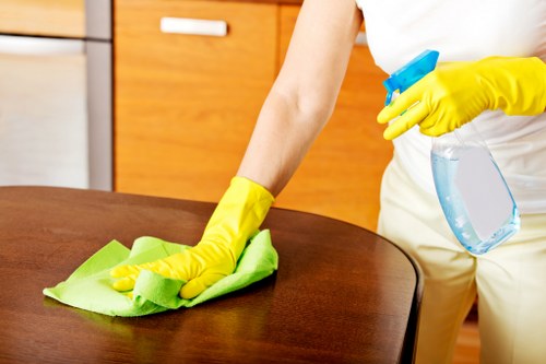 Professional cleaners Roehampton working safely in a property
